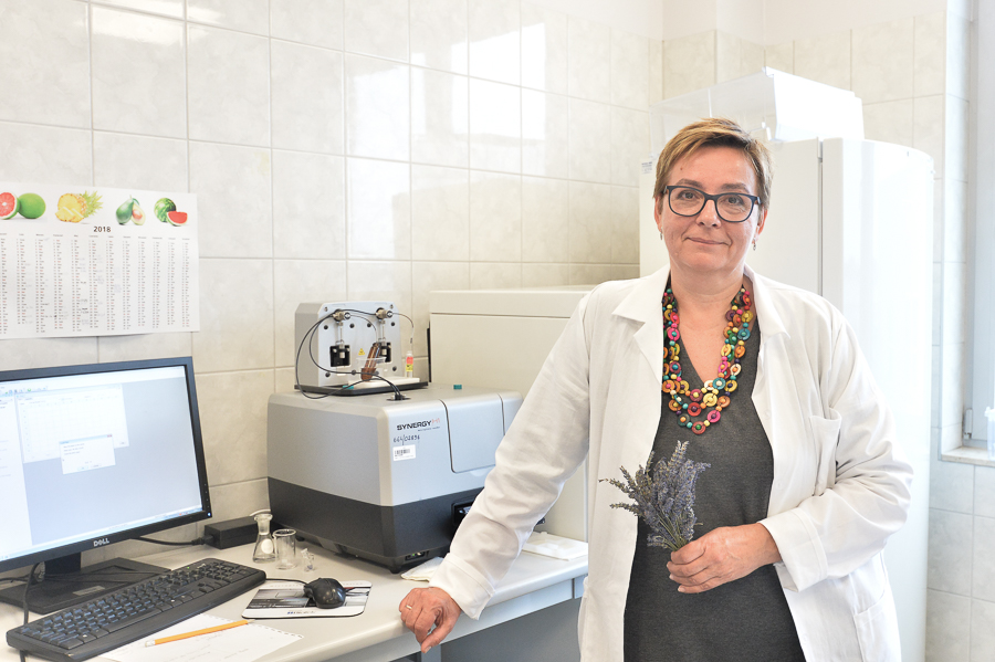 Prof. Anna Sokół-Łętowska: – W laboratorium jestem zadaniowa, cenię porządek i plan pracy