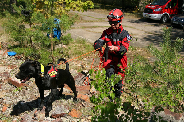 search and rescue dogs, Wrocław University of Environmental and Life Sciences, WUELS
