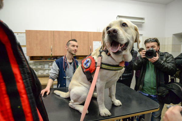 search and rescue dogs, Wrocław University of Environmental and Life Sciences, WUELS,