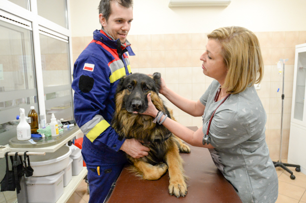 search and rescue dogs, Wrocław University of Environmental and Life Sciences, WUELS,
