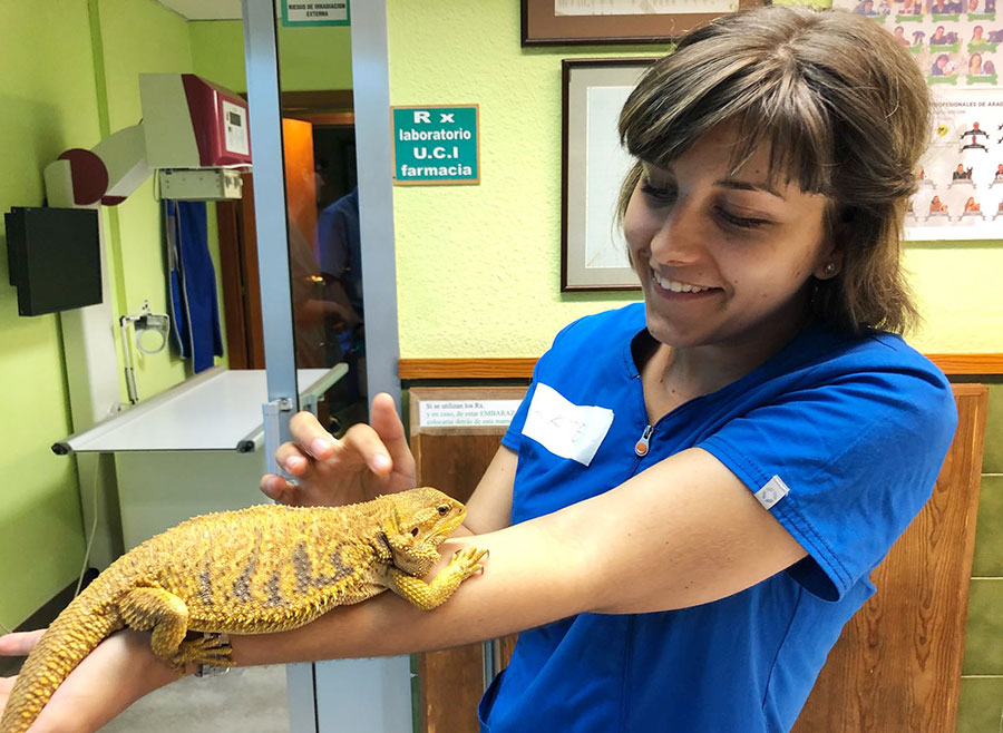 Katarzyna with a lizzard