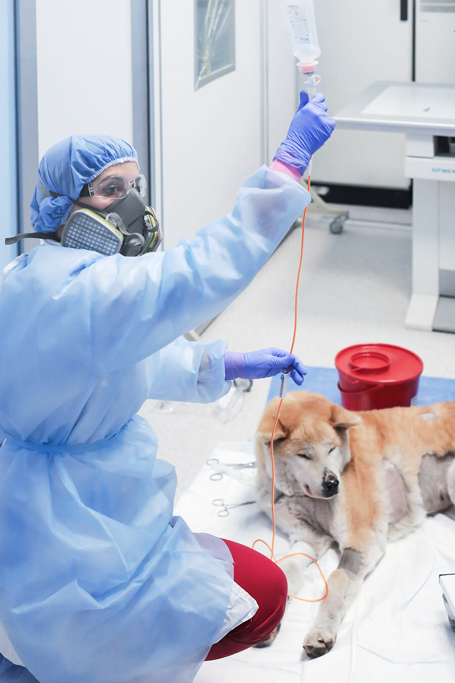 Katarzyna with a dog in the lab