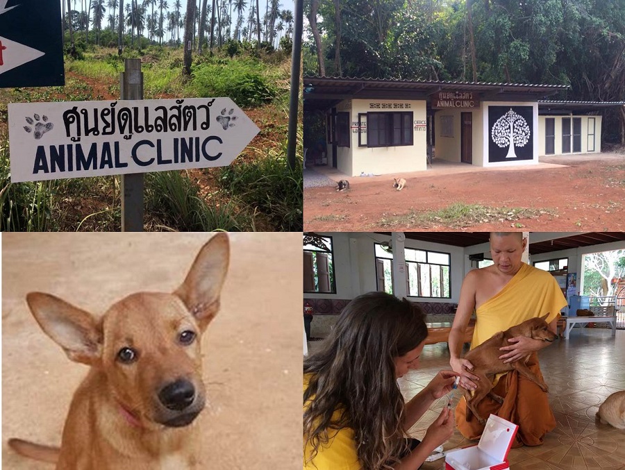 Pictures from her time in Thailand