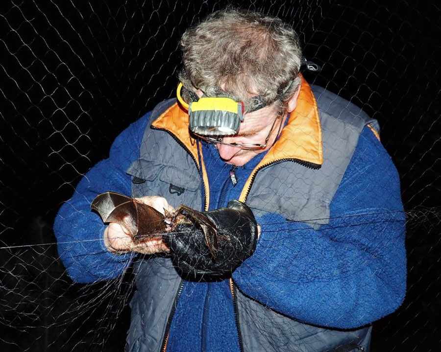 Dr. Kokurewicz with a bat