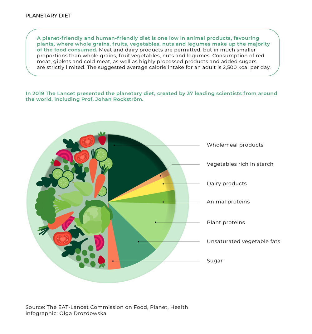 infographic