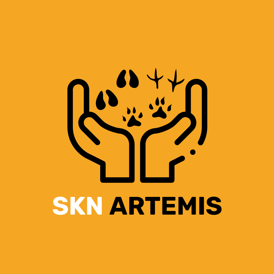 Logo SKN ARTEMIS