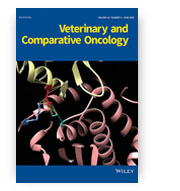 veterinary-and-comparative-oncology.jpg