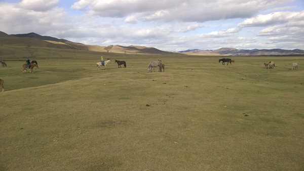 Tournée zespołu „Jedliniok”: Rosja i Mongolia, mongolski step