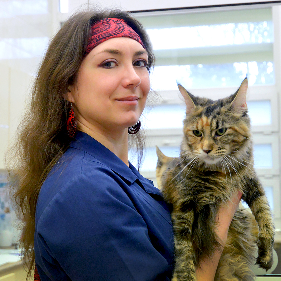Dr Sylwia Prochowska z Katedry Rozrodu UPWr z kotem