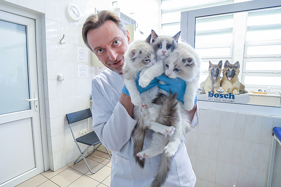 Prof. Wojciech Niżański, kierujący Bankiem gamet i komórek somatycznych dzikich kotowatych, z trzeba kotami