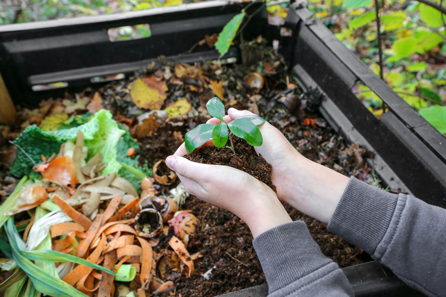 Naukowcy szukają sposobów przyspieszenia naturalnego procesu, jakim jest kompostowanie odpadów organicznych