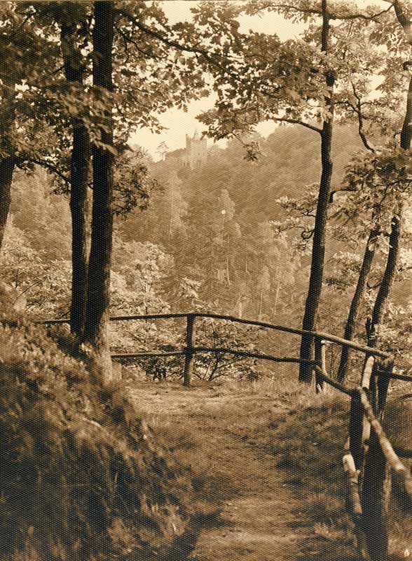 Ścieżka w Wąwozie Pełcznicy, fotografia, pocz. XX wieku