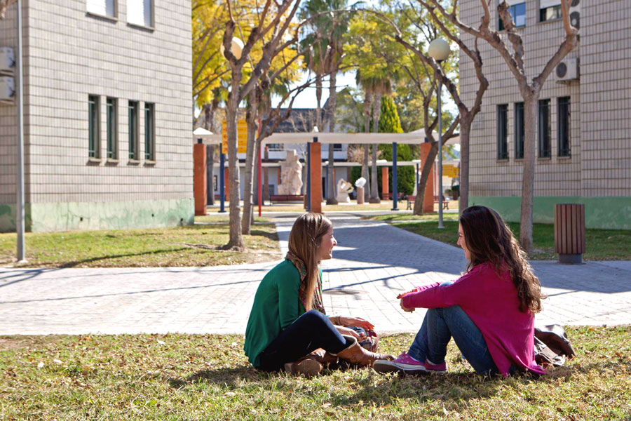 studentki na kampusie w Alicante