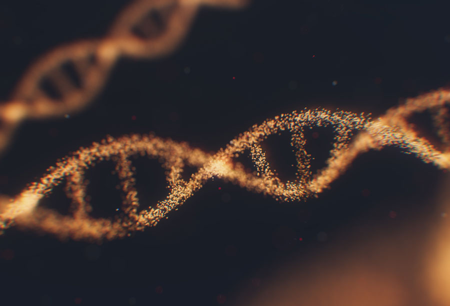 Bioinformatyka rozwinęła się między innymi dzięki odkryciu podwójnej helisy DNA