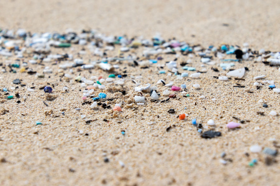 Mikroplastiki są dla środowiska bardziej szkodliwe niż zwykłe odpady z tworzyw sztucznych
