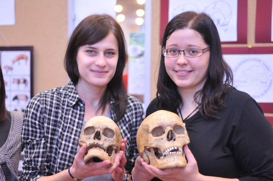 Studentki z koła naukowego nauczą Was rozpoznawać czaszki