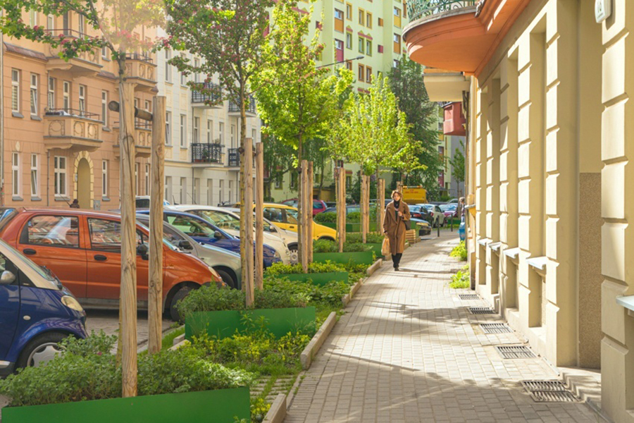 Grow Green to również drzewa, które posadzono m.in. wzdłuż ulicy Daszyńskiego