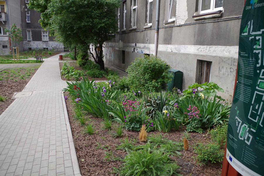 Jeden z parków kieszonkowych zrealizowanych w ramach projektu Grow Green we Wrocławiu 