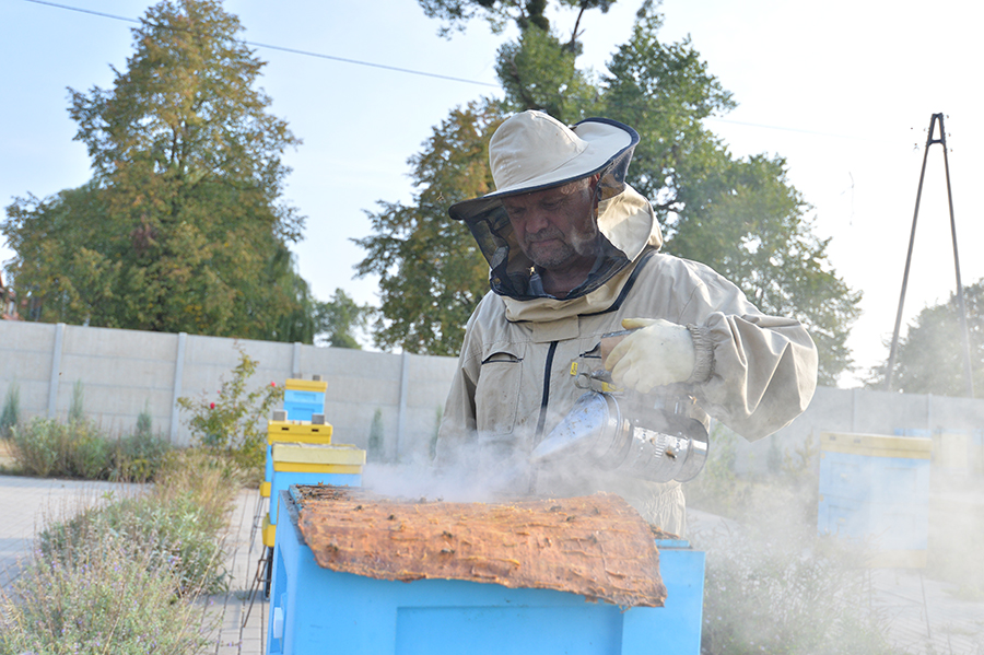 Prof. Paweł Chorbiński: – Pszczoły natychmiast wyczuwają nastrój człowieka, który wchodzi do pasieki