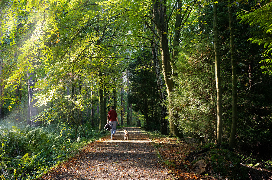 park szczytnicki