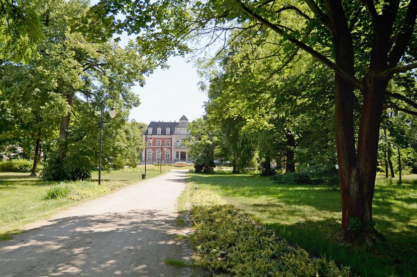 Park w Pawłowicach